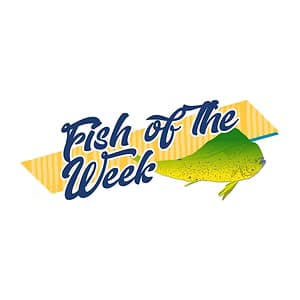 Fish of the Week